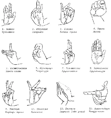 Жесты руками и их значение с картинками | Изучать язык жестов, Язык, Язык  жестов