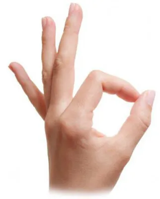 Жесты рук. человеческие руки указывая пальцами вверх вниз, как набор.  выражение жеста пальца, большой палец руки и ладонь, иллюстрация жесты  эскиза | Премиум векторы