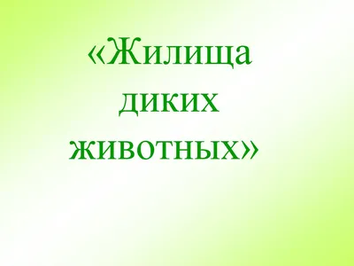 Жилища животных - игры с прищепками