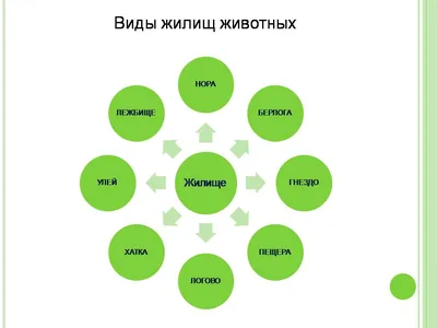 Жилища животных - Презентации по биологии