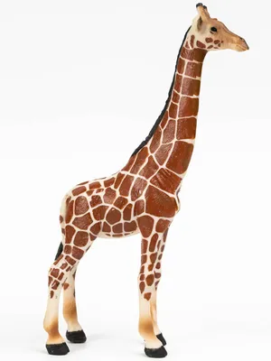 Раскраска Жираф для малышей распечатать или скачать