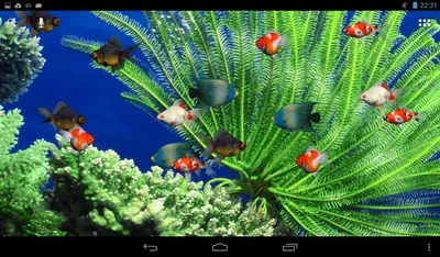 Живой аквариум с красивыми рыбками …» — создано в Шедевруме