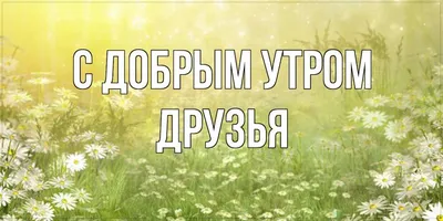 Открытки с добрым утром - скачайте на 