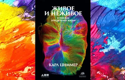 Плакат А2, Живое и неживое, АВ-Принт, РФ (1ПЛ-249) купить оптом в Минске