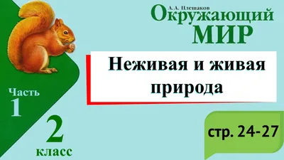 Вопросы и ответы о живой и неживой природе - купить с доставкой по Москве и  РФ по низкой цене | Официальный сайт издательства Робинс