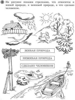 Зыкова. Образовательный Модуль Экспериментирование С Живой и Неживой  природой - купить подготовки к школе в интернет-магазинах, цены на  Мегамаркет |