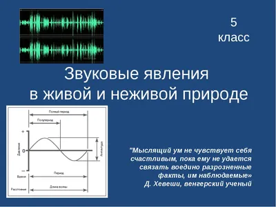 Ответы : Тела живой и неживой природы - что во дворе дома к ним  относится?