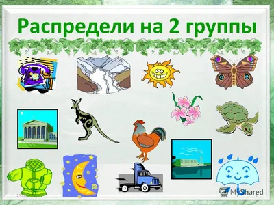 Ознакомление детей дошкольного возраста с живой и неживой природой» (9  фото). Воспитателям детских садов, школьным учителям и педагогам - Маам.ру