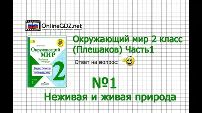 Презентация на тему: "Распредели на 2 группы Живая природа Неживая природа.".  Скачать бесплатно и без регистрации.