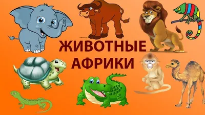 Животные африки для детей картинки