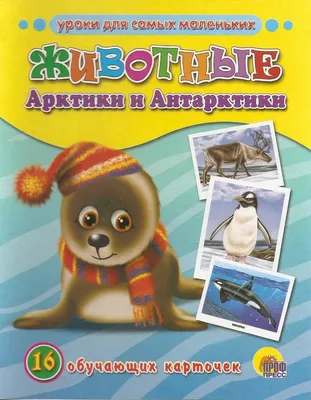 Комплект карточек "Животные Арктики и Антарктики"-купить развивающие  карточки - интернет магазин - доставка по России