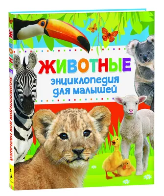 Сборник! Развивающие мультики про животных для детей - YouTube