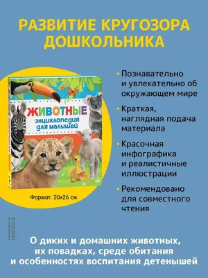 Найди и покажи, малыш. Животные купить книгу с доставкой по цене 225 руб. в  интернет магазине | Издательство Clever