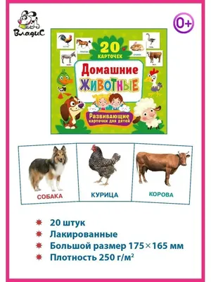 Книга "Домашние животные. Для детей от 1 года, с наклейками и разрезными  карточками" - Прошкина | Купить в США – Книжка US