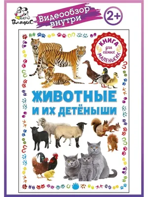 Книга "Дикие животные. Для детей от 2 лет, с наклейками и разрезными  карточками" - Прошкина | Купить в США – Книжка US