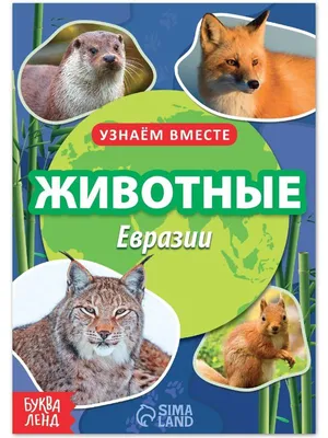 Обучающая книга "Животные Евразии", 20 страниц купить по цене 49 ₽ в  интернет-магазине KazanExpress