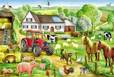 Иллюстрация вещи и животных на ферме на белом фоне | Farm vector, Farm  images, Farm animals