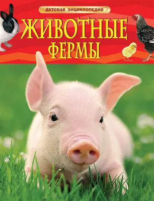 Фигурки животных «Домашние животные с фермы» H88 Farm Creature 9-15 см. /  12 шт.