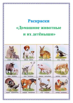 Учу дома: ДИДАКТИЧЕСКИЕ КАРТОЧКИ "ДИКИЕ ЖИВОТНЫЕ АФРИКИ И ИХ ДЕТЁНЫШИ"