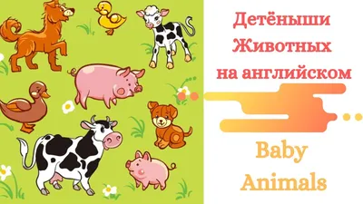 Учу дома: Дидактические карточки "ЖИВОТНЫЕ АРКТИКИ И АНТАРКТИКИ, ИХ ДЕТЁНЫШИ "