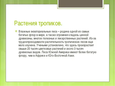 Исследование: сохранение 30% тропических лесов поможет спасти 50% видов от  вымирания: Новости ➕1, 