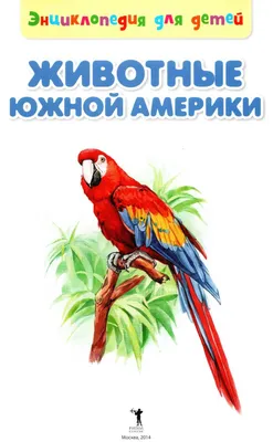 Животные Южной Америки. Энциклопедия для детей - Рублев Сергей. Доставка по  России - SHOP-RE-BOOKS - магазин прочитанных книг