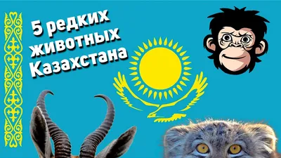 Казахстан усиливает охрану редких животных | Eurasianet
