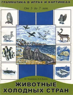 Демонстрационные картинки «Животные холодных широт» - купить в интернет  магазине