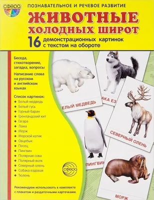 Задания по лексической теме: «Животные холодных стран».