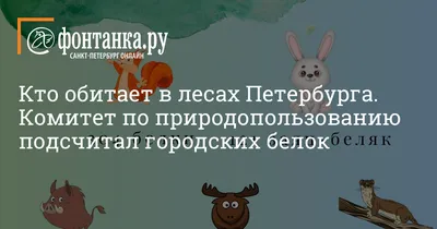 Профилактика оспы овец и коз в Ленинградской области - ГБУ ЛО "СББЖ  Ломоносовского района"