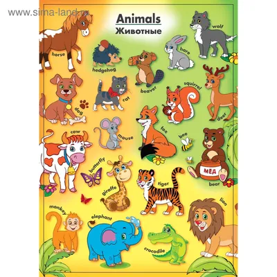 Карточки с картинками "Животные" на английском языке
