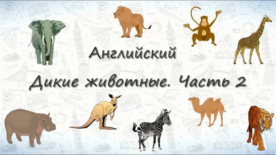 Плакат обучающий "Английский алфавит - Животные", А3 (30х42 см), 1 шт,  Печатник - купить с доставкой по выгодным ценам в интернет-магазине OZON  (241707325)