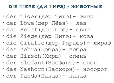 Животные на немецком (часть 2) | Немецкий каждый день | Дзен