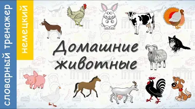 Немецкий алфавит с произношением | Deutsch Online