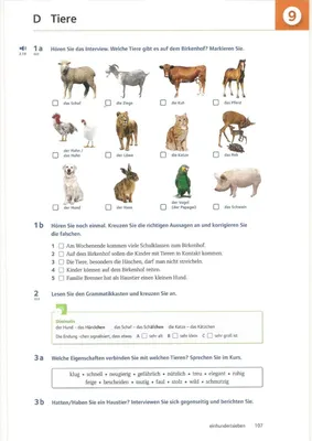 Животные – наши друзья, тема урока для 3 класса | Немецкий язык онлайн.  Изучение, уроки.