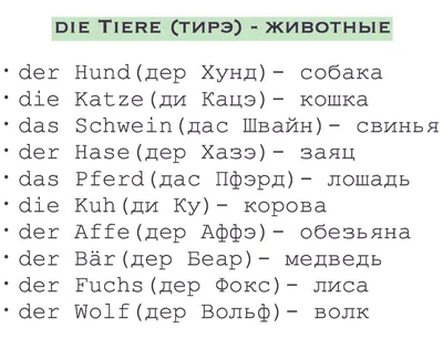 Обыкновенный ёж — Википедия