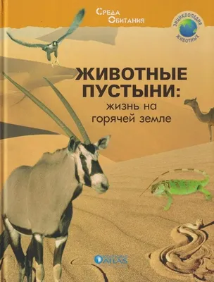 Животные пустыни â€ взгляда пустыни « Стоковое Изображение - изображение  насчитывающей пустыня, желтый: 154308797