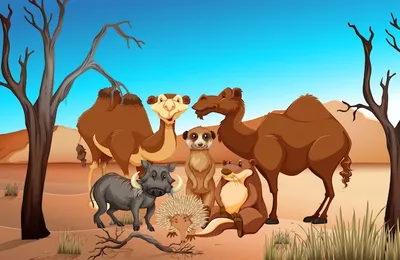 Животные пустыни с набором вектора верблюда и Фокс Fennec Иллюстрация  вектора - иллюстрации насчитывающей намордник, растительноядные: 199448574