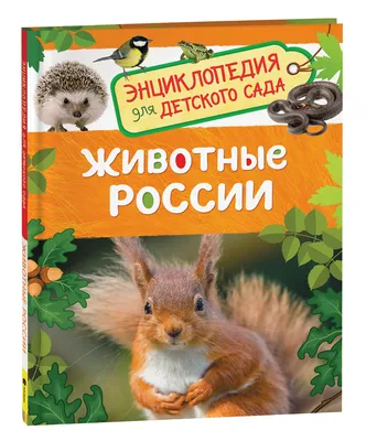 Животные России. Детская энциклопедия РОСМЭН от 10 лет РОСМЭН 2243809  купить за 279 ₽ в интернет-магазине Wildberries