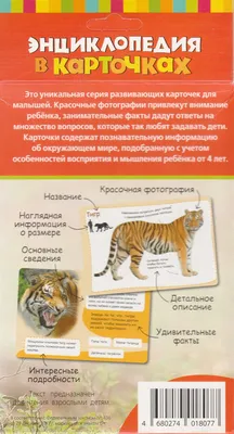 Самые удивительные животные России - Официальный сайт муниципального  образования город Ломоносов