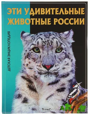 Книга Эти удивительные животные России, Детская энциклопедия - купить  детской энциклопедии в интернет-магазинах, цены на Мегамаркет | 6875880