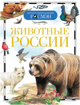 Травина И.В. "Животные России (ДЭР)" — купить по низкой цене на Яндекс  Маркете