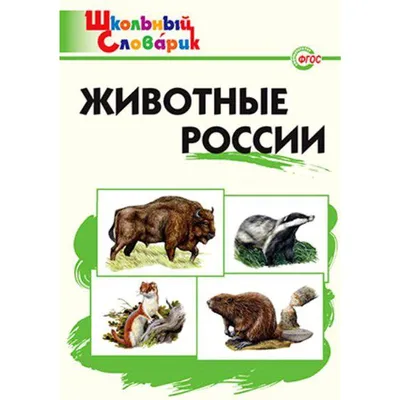 Энциклопедия для детей, БУКВА-ЛЕНД "Животные России", твёрдый переплёт, 48  страниц | Соколова Юлия Сергеевна - купить с доставкой по выгодным ценам в  интернет-магазине OZON (189309880)