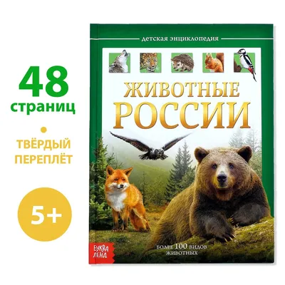 Иллюстрация 5 из 30 для Животные России - О. Александрова | Лабиринт -  книги. Источник: Издательство Стрекоза