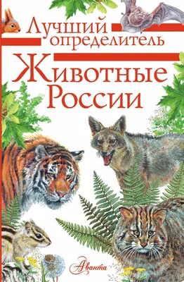 Самые удивительные животные России - Официальный сайт муниципального  образования город Ломоносов