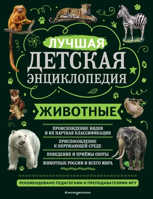 РАЗВИВАЮЩИЕ ИГРЫ С ЛИПУЧКАМИ «Животные России» – купить за 270 руб |  Монтессори Кроха