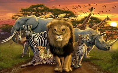 Августинович Юлия - Африка, саванна | African animals, Jungle animals,  Animals wild