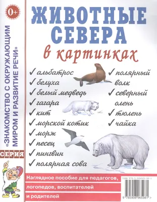 Лексическая тема "Животные Севера". Рекомендации для родителей | Логопед  Наталья Екб | Дзен