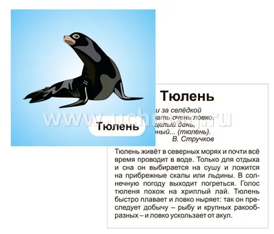 Обучающие карточки "Животные Севера" 16 шт. купить недорого в Москве в  интернет-магазине Maxi-Land