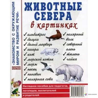 Раскраски Животные севера | Раскраски с животными, Раскраски, Животные